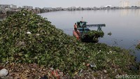 Dinas Sumber Daya Air (SDA) DKI Jakarta, akan mengeruk 75 waduk dan 13 kali besar atau sungai di Jakarta untuk mengantisipasi banjir di Jakarta.  