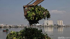 Foto Pengerukan Waduk Pluit Siap Antisipasi Banjir