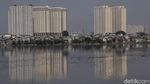 Foto Pengerukan Waduk Pluit Siap Antisipasi Banjir