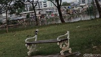 Di salah satu bagian kawasan Waduk Pluit, tampak bangku taman dalam kondisi rusak dan tak terawat.