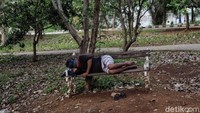 Seperti diketahui, kawasan Waduk Pluit kerap didatangi warga sekitar untuk beraktivitas, mulai dari berolahraga hingga sekadar bercengkerama bersama teman maupun keluarga.