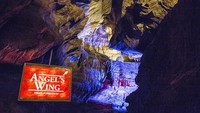 Adalah Leo Lambert, seorang pakar gua yang akhirnya menemukan Ruby Falls. Dinamakan Ruby karena sesaat setelah menemukan air terjun, Lambert membawa istrinya untuk melihat langsung keajaiban ini. Ruby adalah nama istri Lambert (dok Ruby Falls)