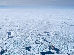 Ilmuwan Hidupkan Mikroba 40.000 Tahun dari Es Arktik, Kini Mereka Khawatir!