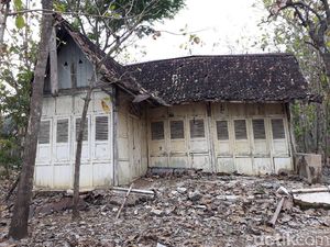 Tentang Rumah Tua Milik Eks Bupati di Tengah Kebun Jati Gunungkidul