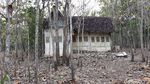 Foto-foto Rumah Tua yang Viral di Tengah Kebun Jati Gunungkidul