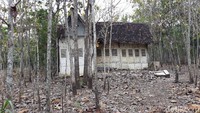 Namun, untuk mendekati rumah itu, perlu berjalan beberapa meter melalui perkebunan jati.