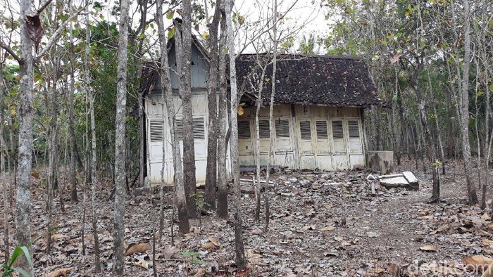 Foto Foto Rumah Tua Yang Viral Di Tengah Kebun Jati Gunungkidul