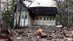 Foto-foto Rumah Tua yang Viral di Tengah Kebun Jati Gunungkidul