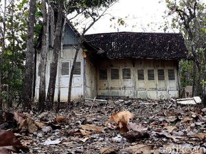 Sejarah Panjang Pemilik Rumah Tua Viral Tengah Kebun Jati Gunungkidul