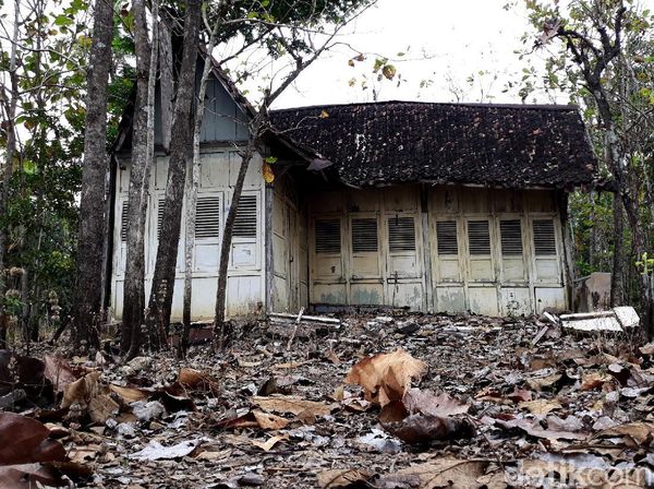 Foto-foto Rumah Tua yang Viral di Tengah Kebun Jati Gunungkidul