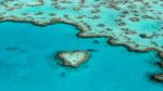 Foto: Gugusan Karang Berbentuk Love-love di Australia