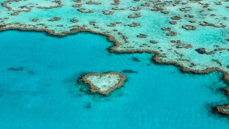 Heart Reef Heart Reef in the Great Barrier Reef in Queensland, Australia.