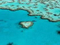 Great Barrier Reef di Australia Semakin Terancam!
