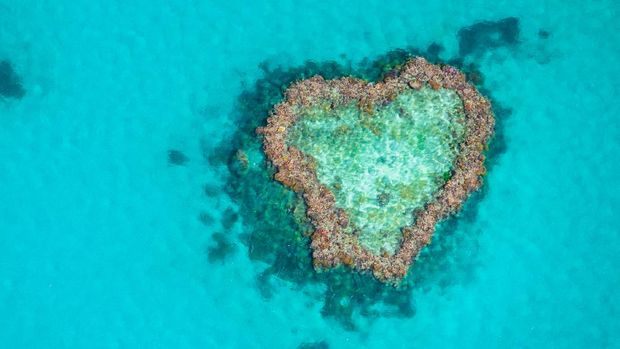 Heart Reef in the Great Barrier Reef, viewed from a Seaplane