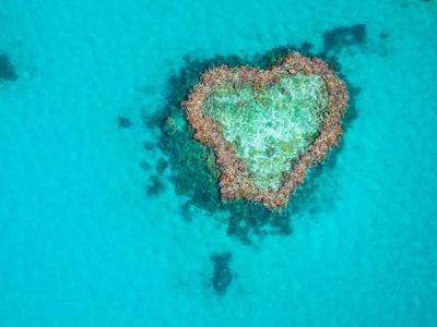 Foto: Gugusan Karang Berbentuk Love-love di Australia