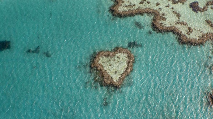 Birds eye view of Heart shaped reef on the great barrier reef