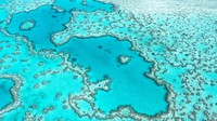 Great Barrier Reef merupakan surga pemandangan alam bawah laut ciamik. Di destinasi ini, banyak gugusan karang yang bentuknya unik-unik. Salah satu yang paling terkenal tentu saja Heart Reef. (Getty Images/iStockphoto/yanjf)