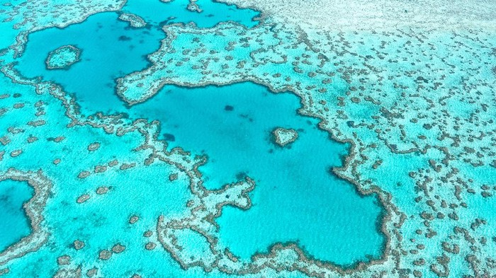 Heart Reef Aerial view of Great Barrier Reef in Whitsunday's Queensland Australia, famous love heart reef.