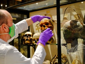 Kepala Mayat Menciut dan Tengkorak Suku Amazon Ditarik dari Museum Inggris