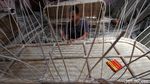 Peti Mati Made In Sukoharjo Ini Laris Manis di Pasar Eropa