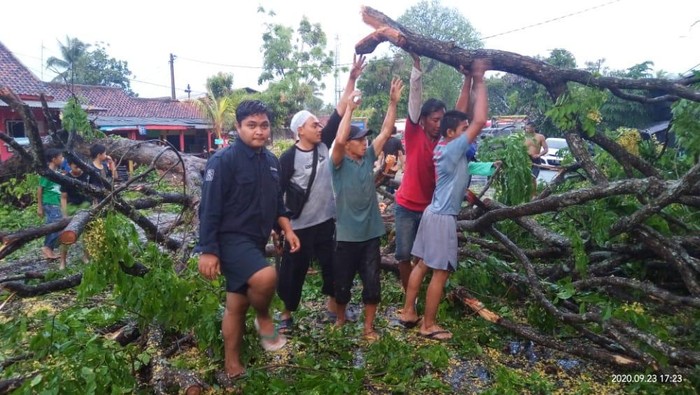 Pohon tumbang di Cianjur timpa mobil.