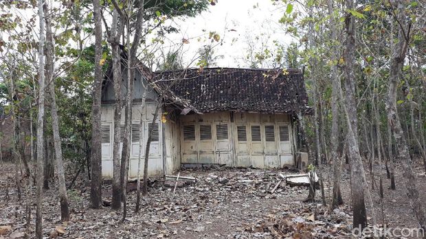 Rumah tua di tengah kebun jati di Gunungkidul yang viral, Rabu (23/9/2020).