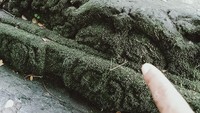 Ukuran bebatuan itu paling kecil panjang sekitar 30 cm dan paling besar panjang 80 cm. Ada yang polos, bertakik, berbentuk leter L, yoni atau memiliki ornamen. Beberapa batu kemuncak candi berbentuk kelopak bunga terlihat jelas terpasang di fondasi.