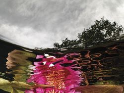 Karya Jawara Underwater Photographs Of The Year 2020 Begitu Memukau