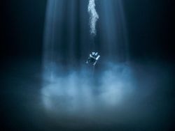 Karya Jawara Underwater Photographs Of The Year 2020 Begitu Memukau