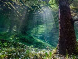Karya Jawara Underwater Photographs Of The Year 2020 Begitu Memukau