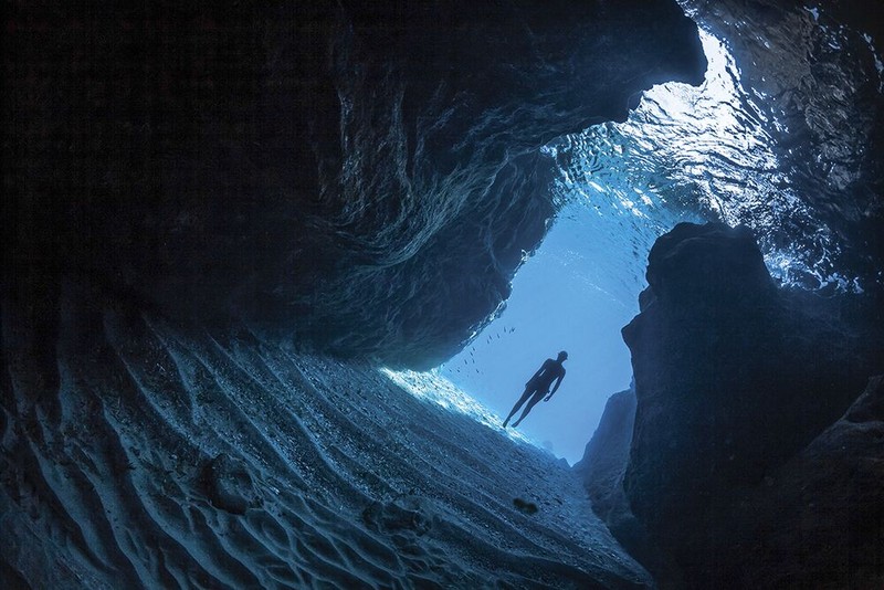 Jawara Underwater Photographs Of The Year 2020