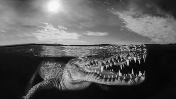 Honorable Mention - Massimo Georgette. Camera Gear: Nikon D800E in a Seacam housing; Sigma 15mm fisheye lens; Subtronic Pro 160 strobe. Settings: f/22; 1/160; ISO 125. Foto: doc. scubadiving.com
