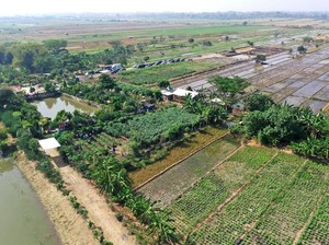 Resesi di Depan Mata, Ini Jurus Risma Selamatkan Surabaya