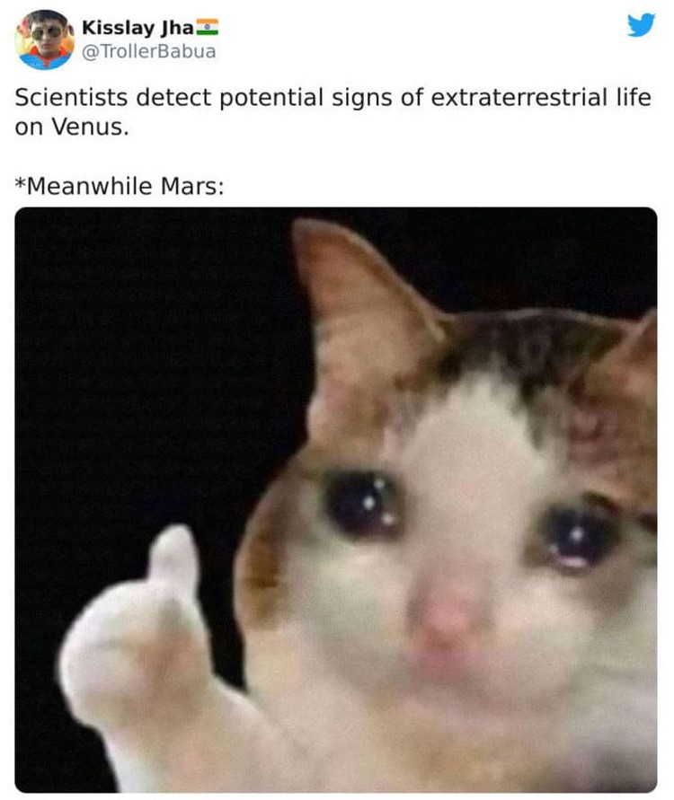 Kehidupan di venus