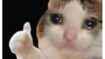 Lupakan aku, kembali padanya... Foto: Twitter/@TrollerBabua