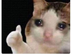 Meme Kocak Ada Makhluk Hidup di Planet Venus