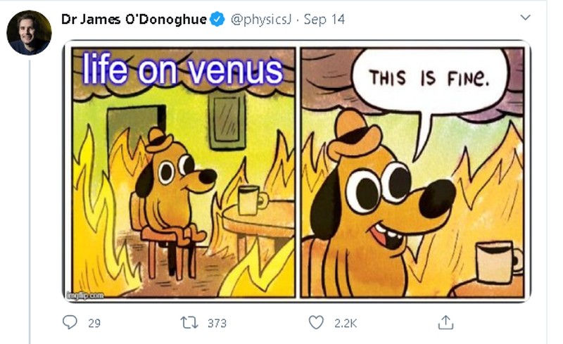 Kehidupan di venus