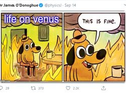 Meme Kocak Ada Makhluk Hidup di Planet Venus