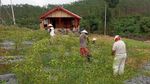 Asyik, Petani Hutan di Jambi Terus Dapat Dukungan