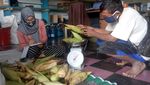 Asyik, Petani Hutan di Jambi Terus Dapat Dukungan