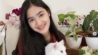 Sebelumnya Cut Syifa baru merayakan ulang tahunnya ke-22. Dok. Instagram/cut_syifa