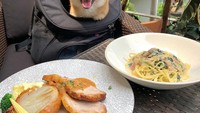  Makan pasta dengan hidangan daging panggang yang enak, Uni terlihat santai dan menikmati pemandangan restoran outdoor yang satu ini. Foto: Instagram @shiba_uni_20190107