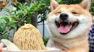 Gemas! 10 Hewan Foodies Ini Hobi Makan Mie hingga Es Krim