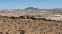 Gurun Patagonia yang juga dikenal dengan nama Stepa patagonia terletak di Amerika Selatan, tepatnya di negara Argentina. Gurun ini memiliki luas mencapai 673 ribu km² sehingga menjadi salah satu gurun terluas di dunia. Istimewa/Eassi  