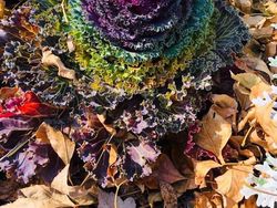 Deretan Foto Kejadian di Alam yang Mencengangkan