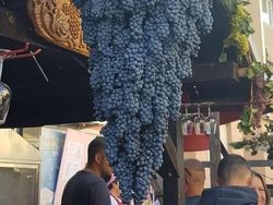 Deretan Foto Kejadian di Alam yang Mencengangkan