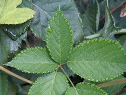 Deretan Foto Kejadian di Alam yang Mencengangkan