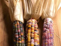 Deretan Foto Kejadian di Alam yang Mencengangkan