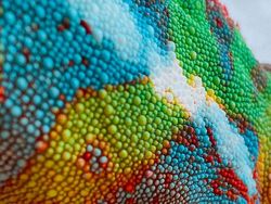 Deretan Foto Kejadian di Alam yang Mencengangkan