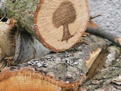 Deretan Foto Kejadian di Alam yang Mencengangkan